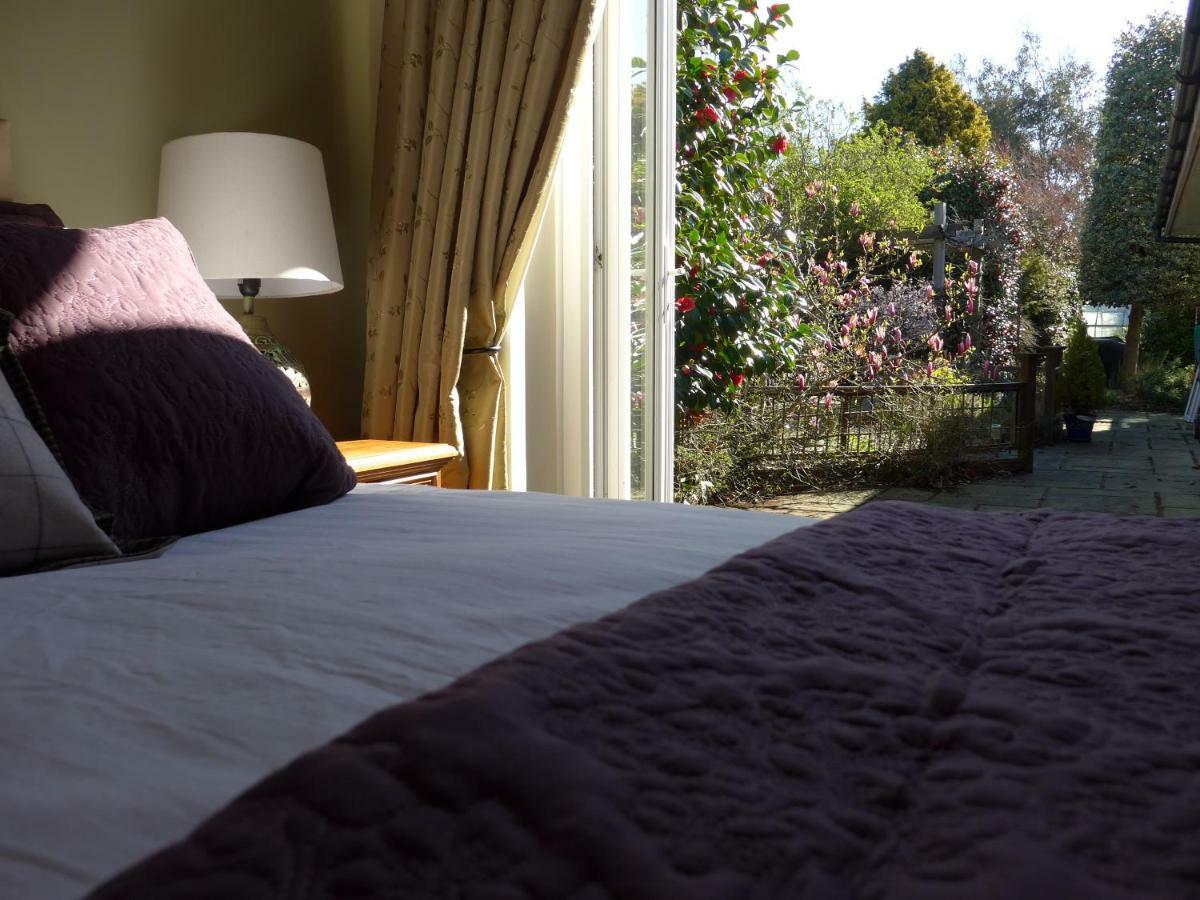 The Olive Tree Bed and Breakfast Gosport Exterior foto